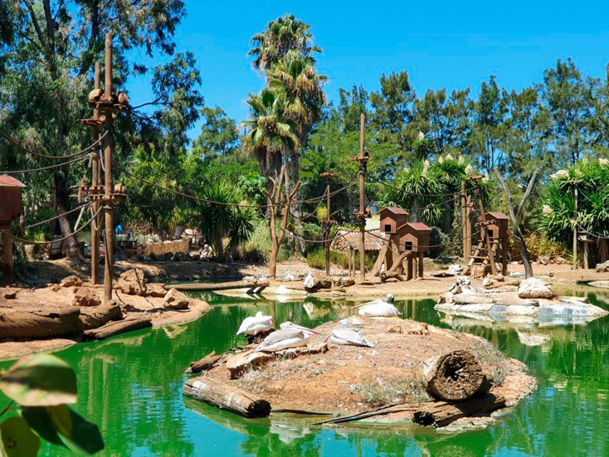 BioParque do Rio в Рио-де-Жанейро