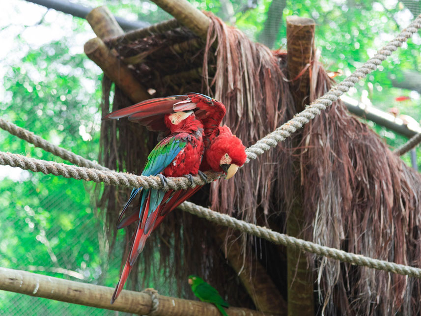 BioParque do Rio в Рио-де-Жанейро