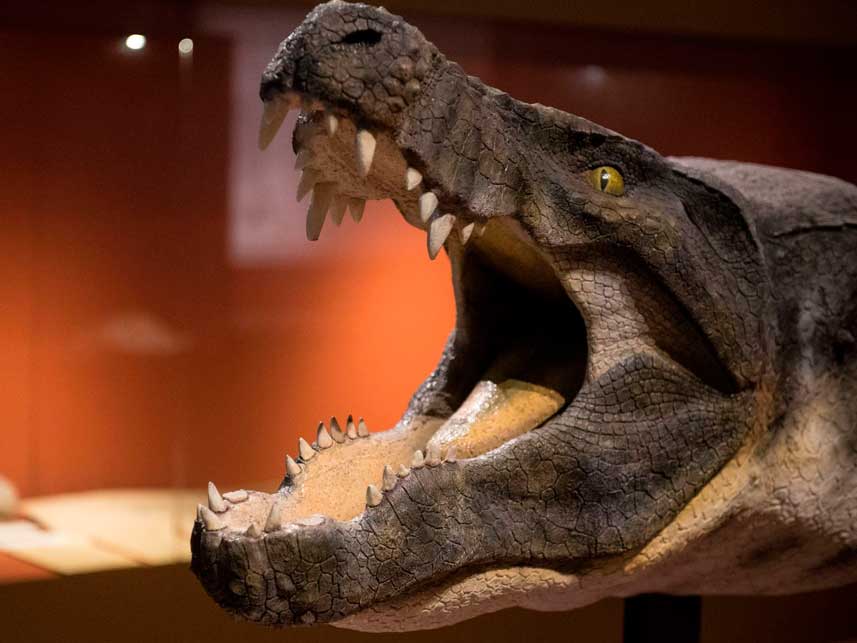 Museu de Ciências da Terra в Рио-де-Жанейро