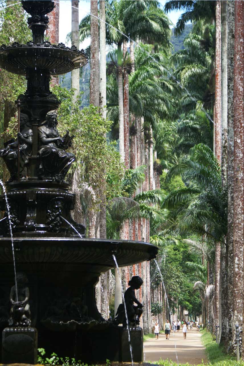 Jardim Botânico do Rio de Janeiro в Рио-де-Жанейро
