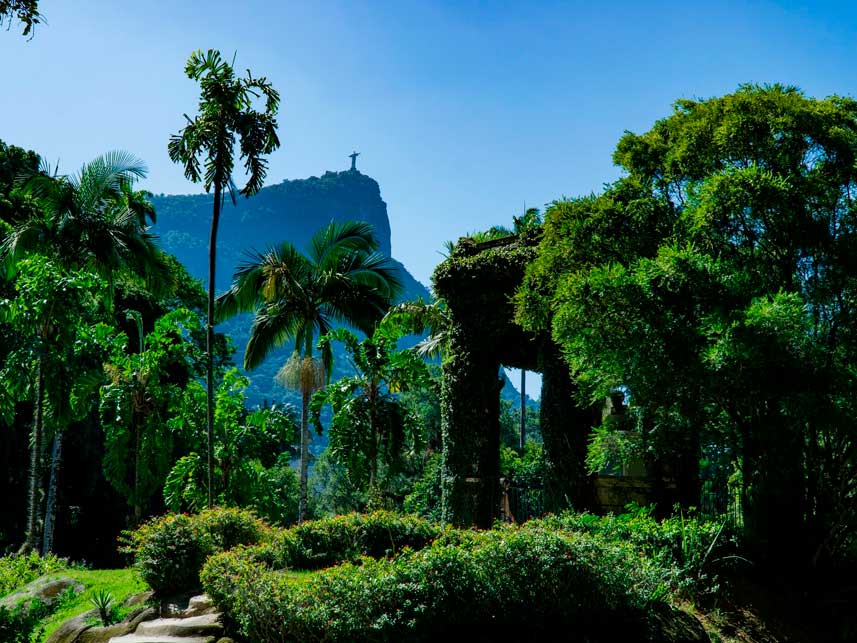 Jardim Botânico do Rio de Janeiro в Рио-де-Жанейро
