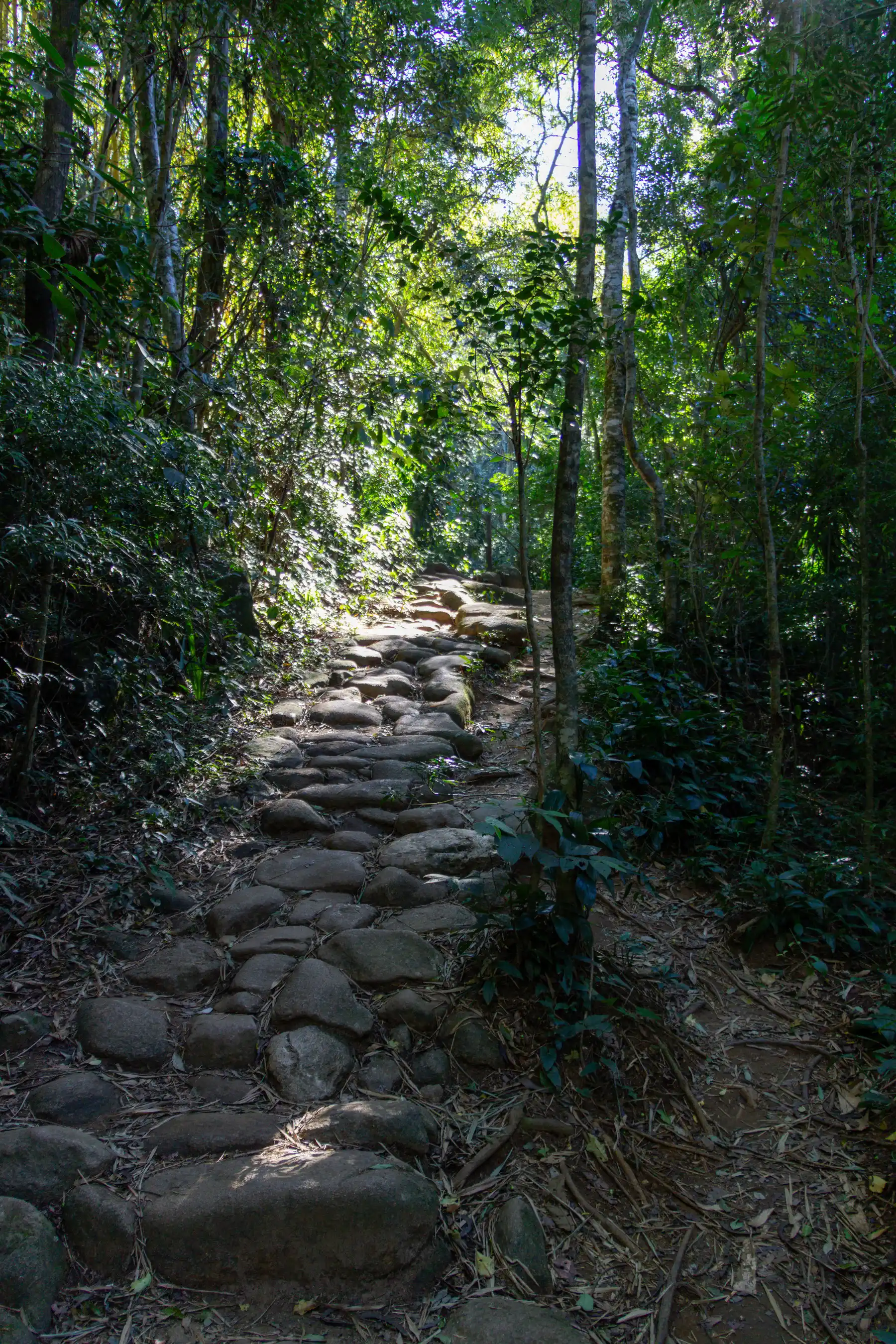 Вид на маршруте Pedra Bonita — фото 2