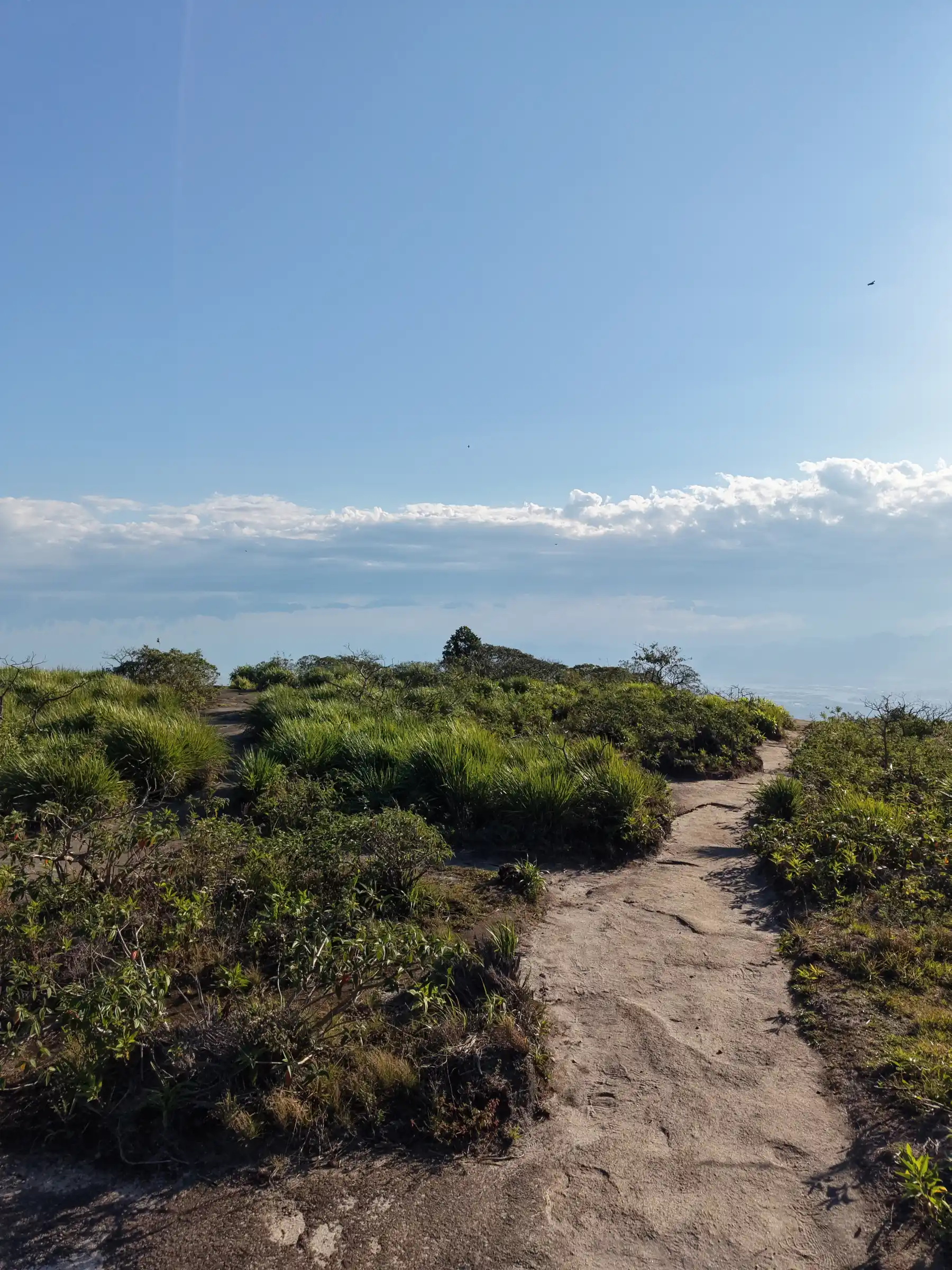 Вид на маршруте Pedra Bonita — фото 8