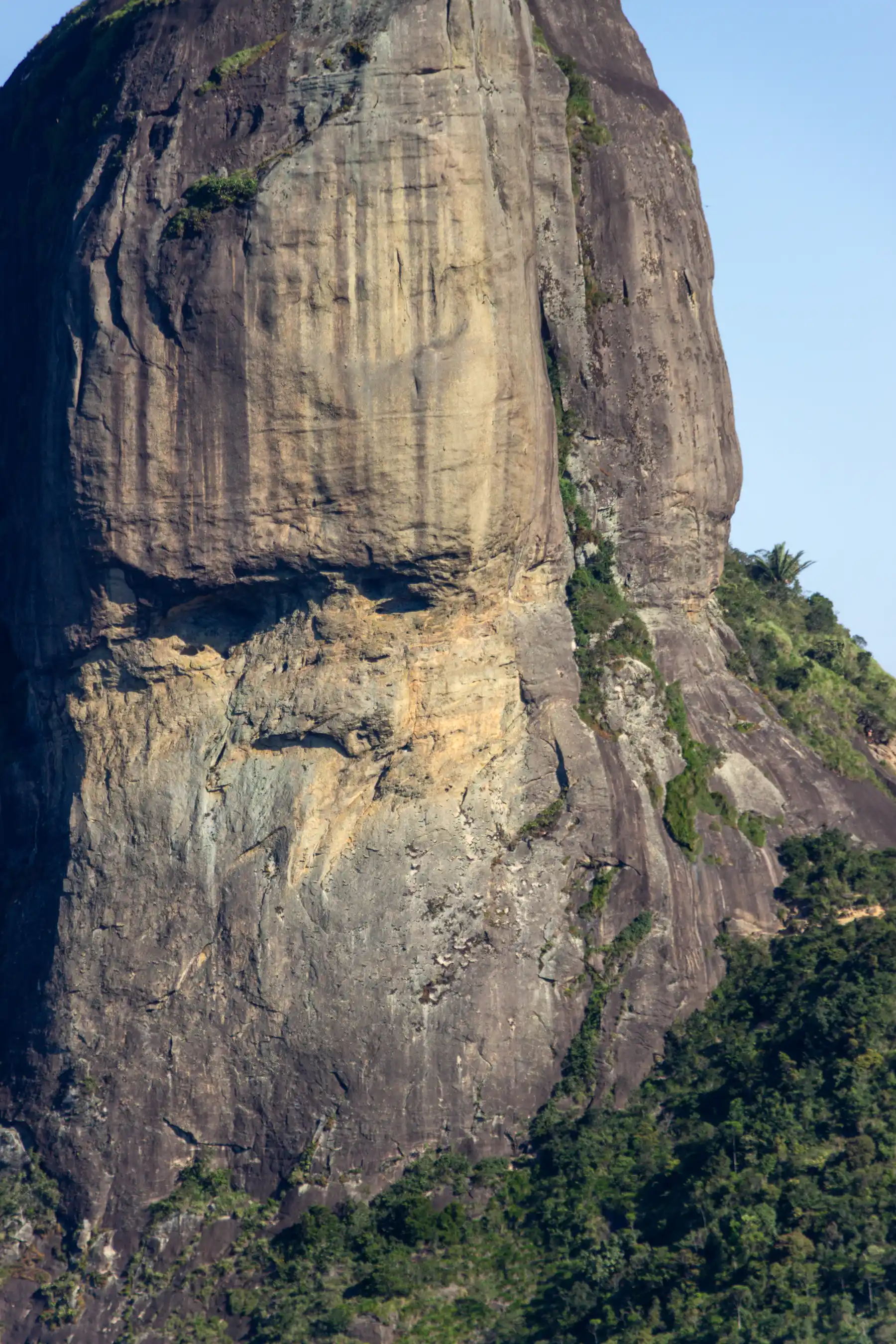 Вид на маршруте Pedra Bonita — фото 12