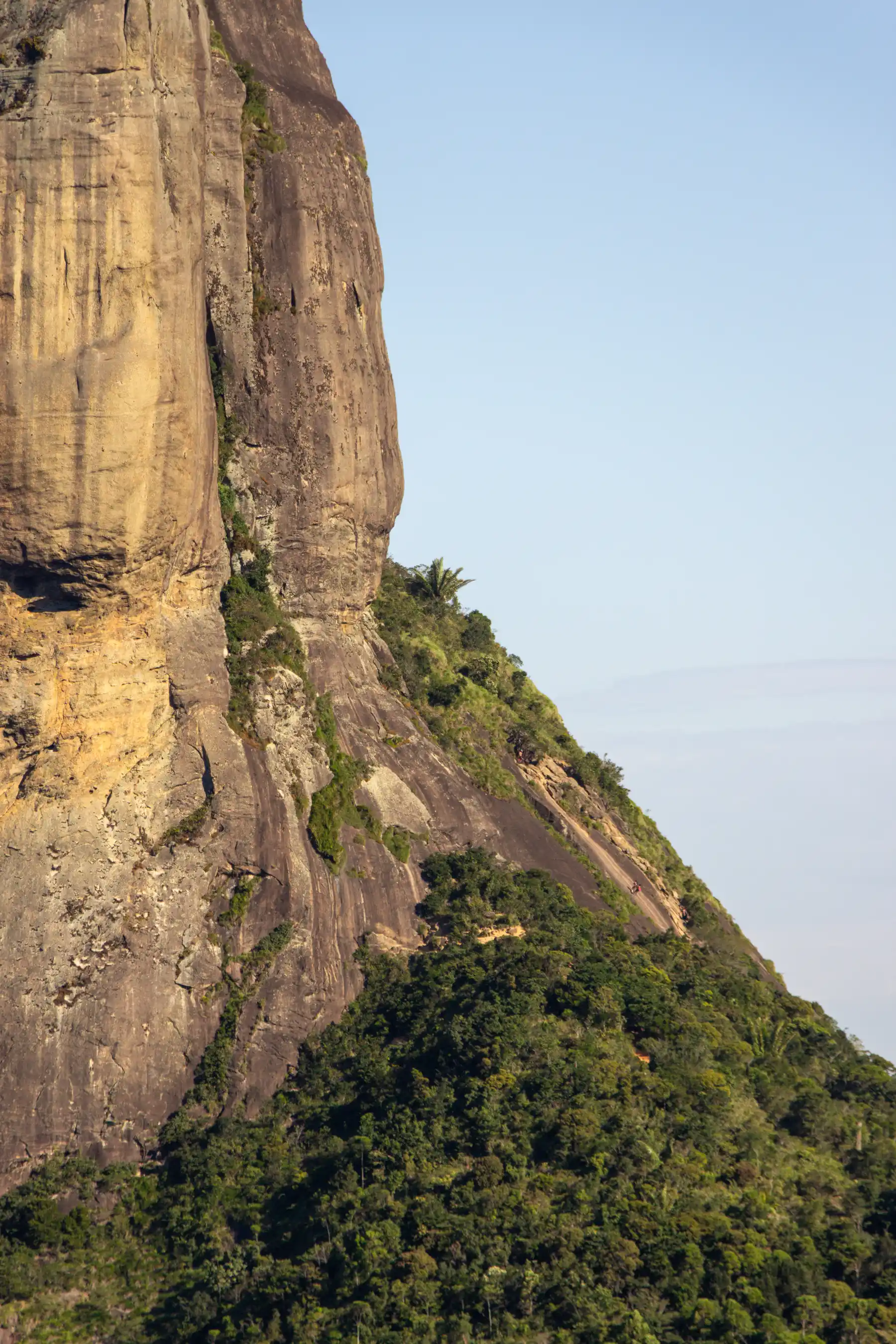 Вид на маршруте Pedra Bonita — фото 20