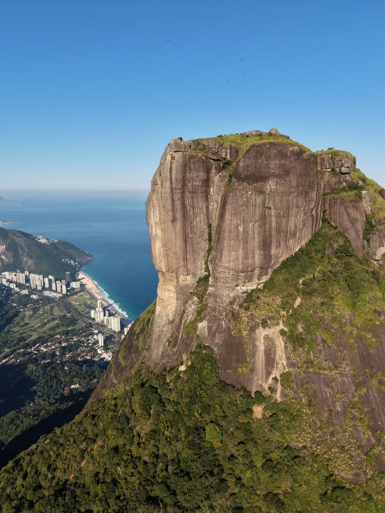 Вершина Pedra da Gávea над Сан-Конраду и океаном